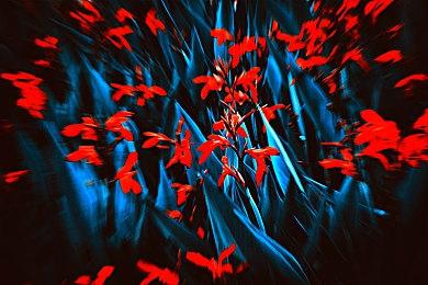 《猎人：荒野的召唤》三款全新DLC和免费更新 已登陆PlayStation、Xbox和PC