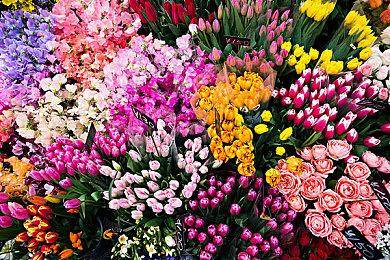 糖豆人NS史诗级背刺免费开放！迅游主机加速器尽享丝滑！