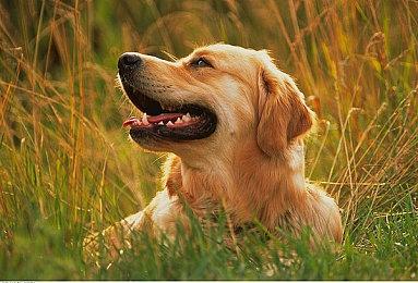 《使命召唤：冷战》和《战区》第5赛季更新将延迟一天